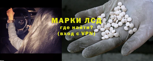 мяу мяу мука Абаза
