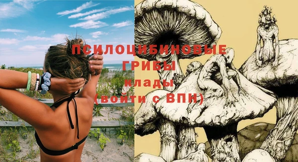 героин Алексин